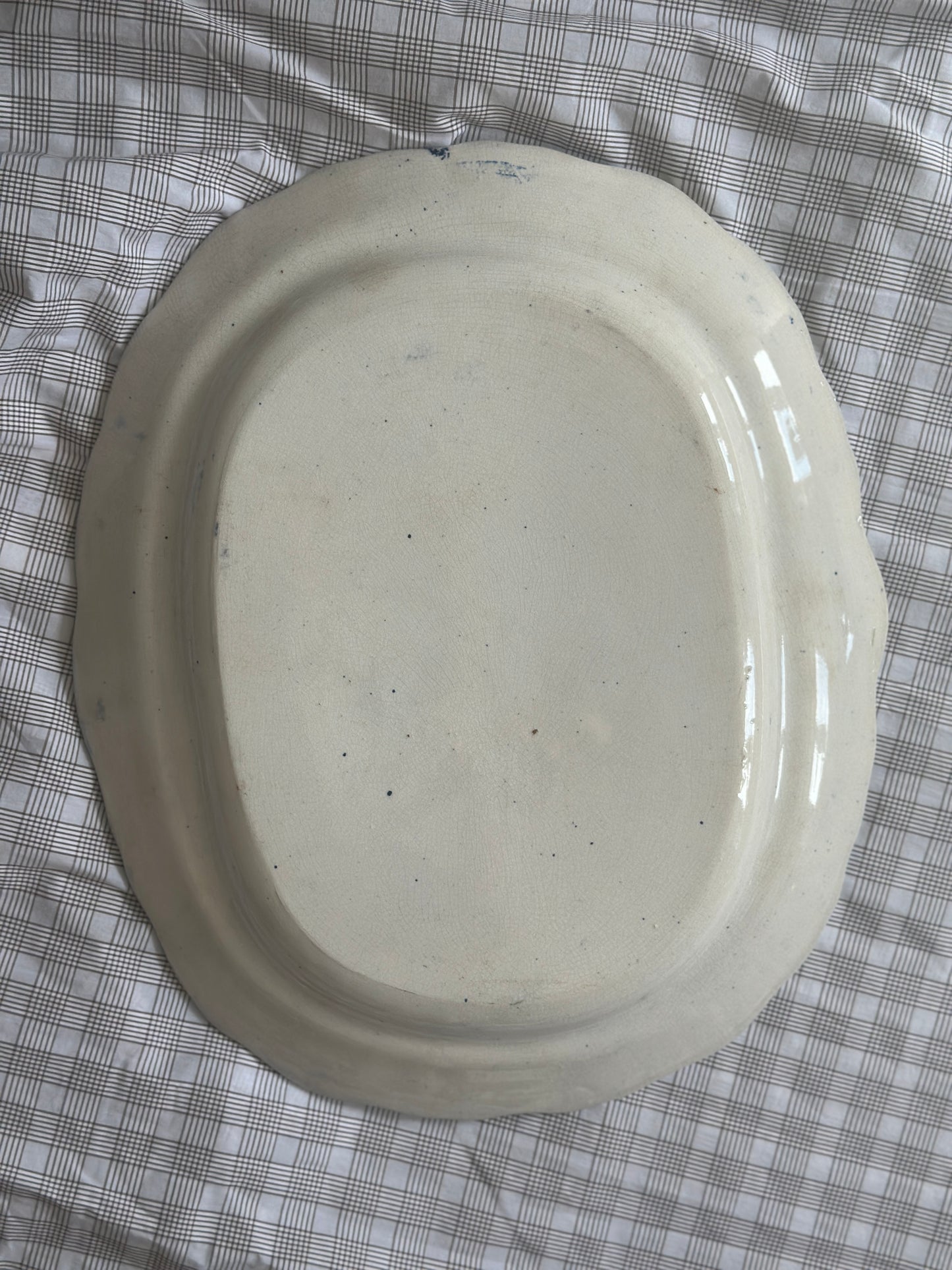 Smukkeste Blå Fasan fad