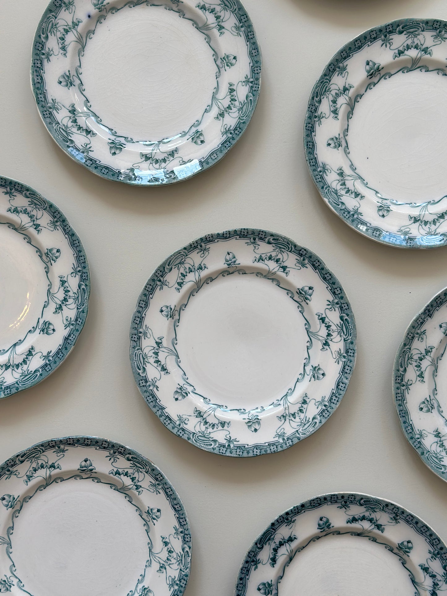 Venus kagetallerkner