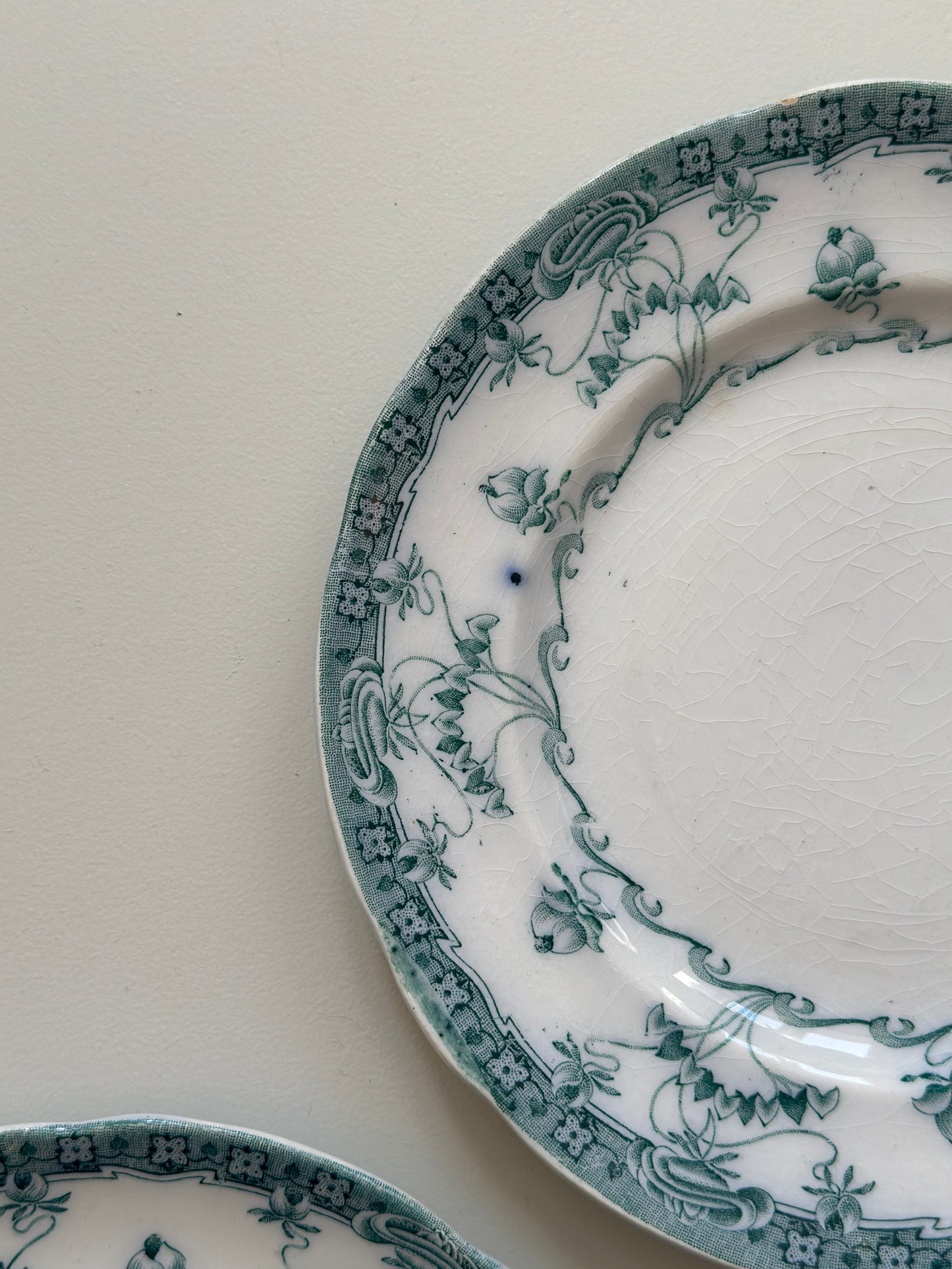 Venus kagetallerkner