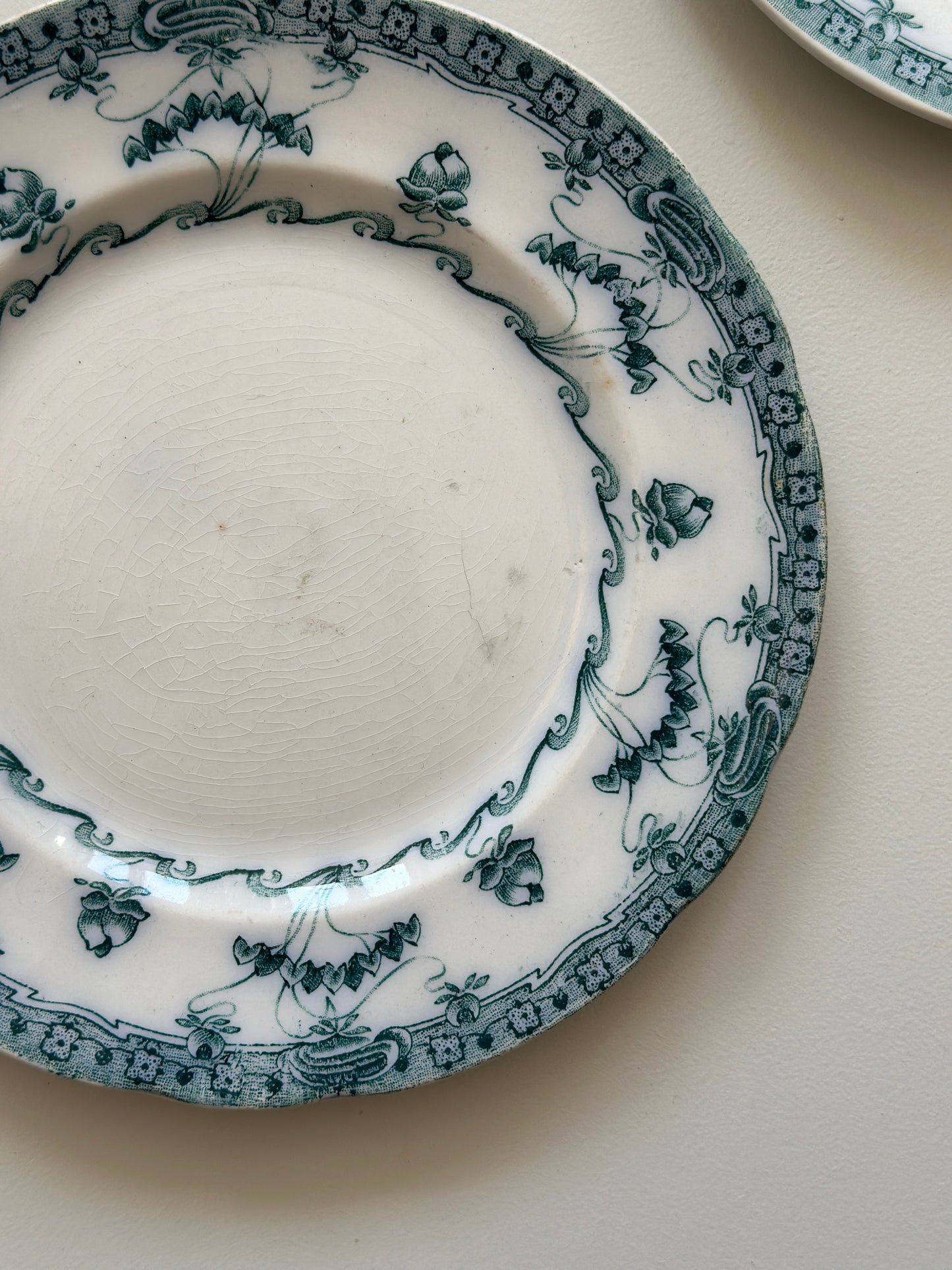 Venus kagetallerkner