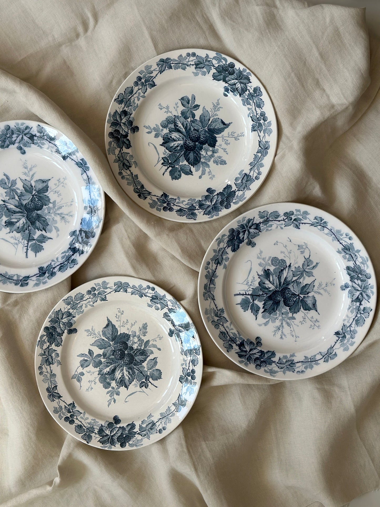 Brombeere flade tallerkner