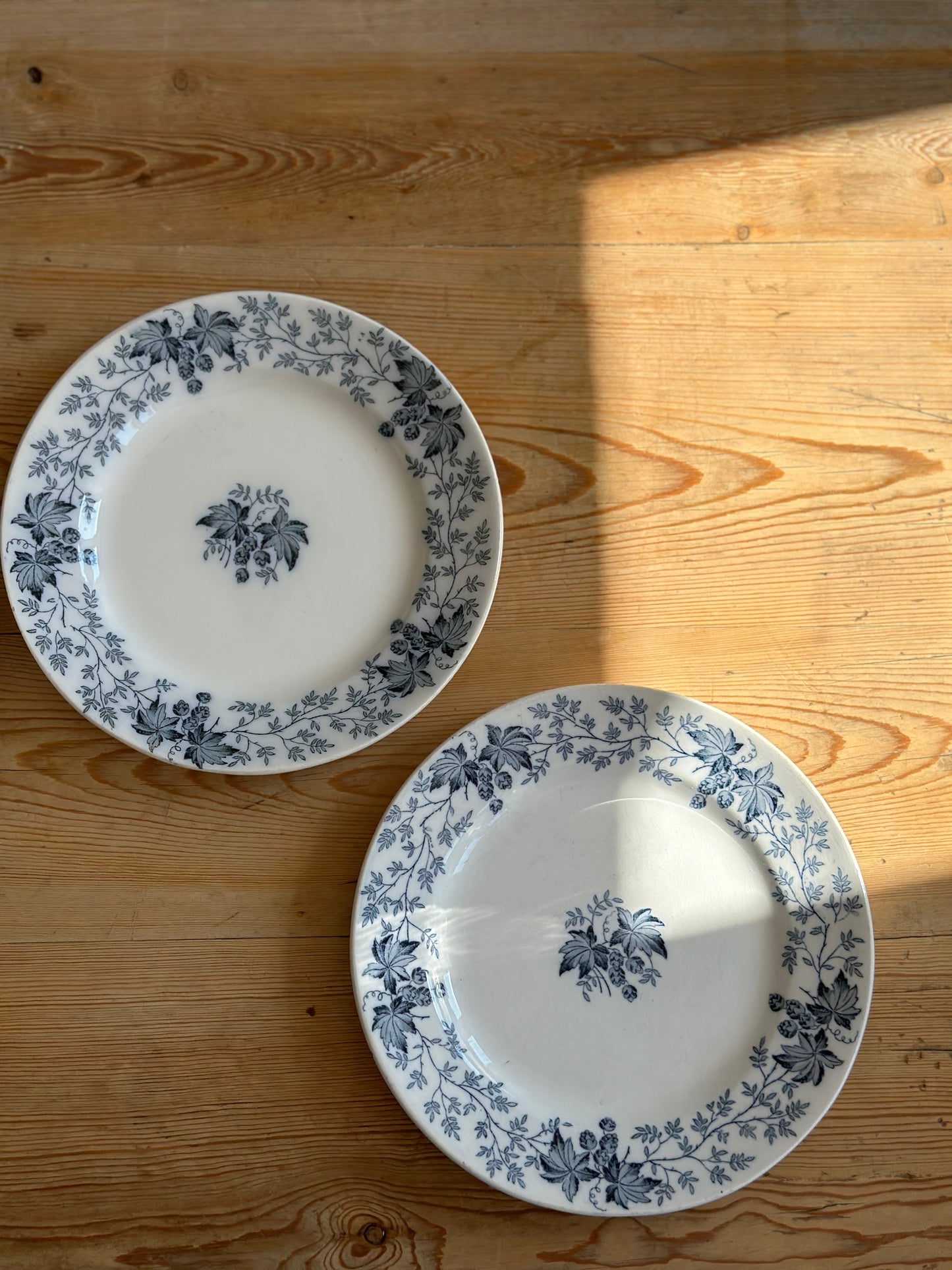 Franske frokost tallerkner