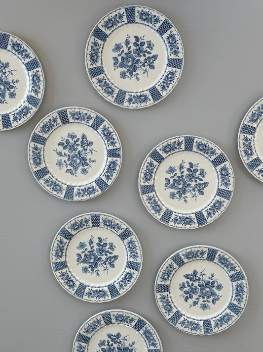 Melody spisetallerkner