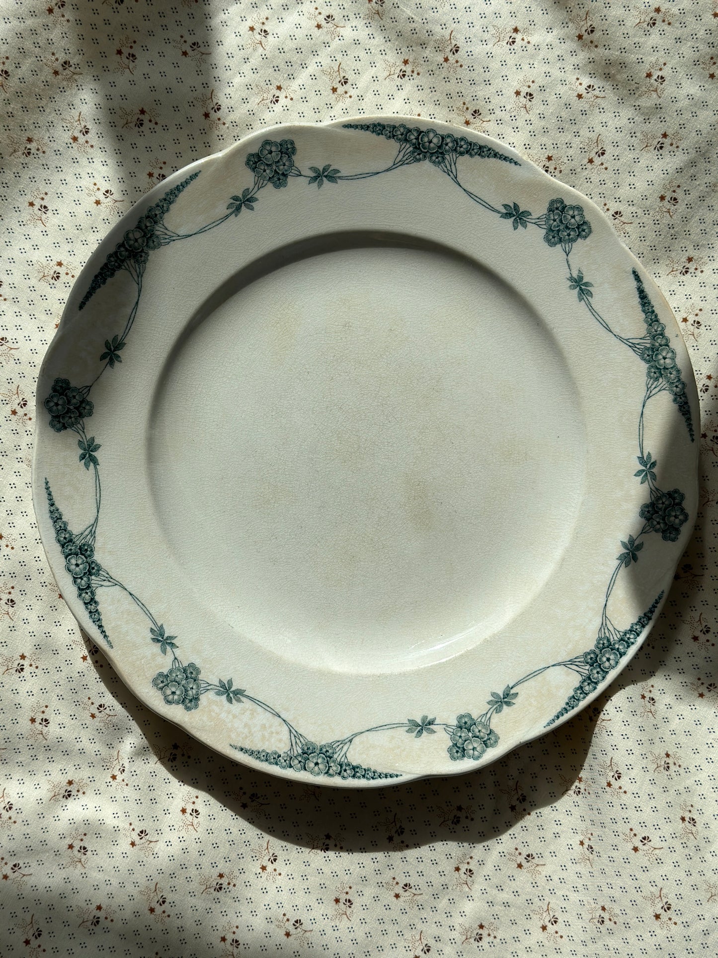 Smuk platte med grønne blomster