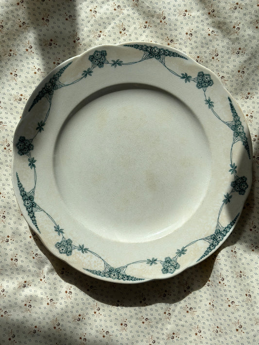 Smuk platte med grønne blomster