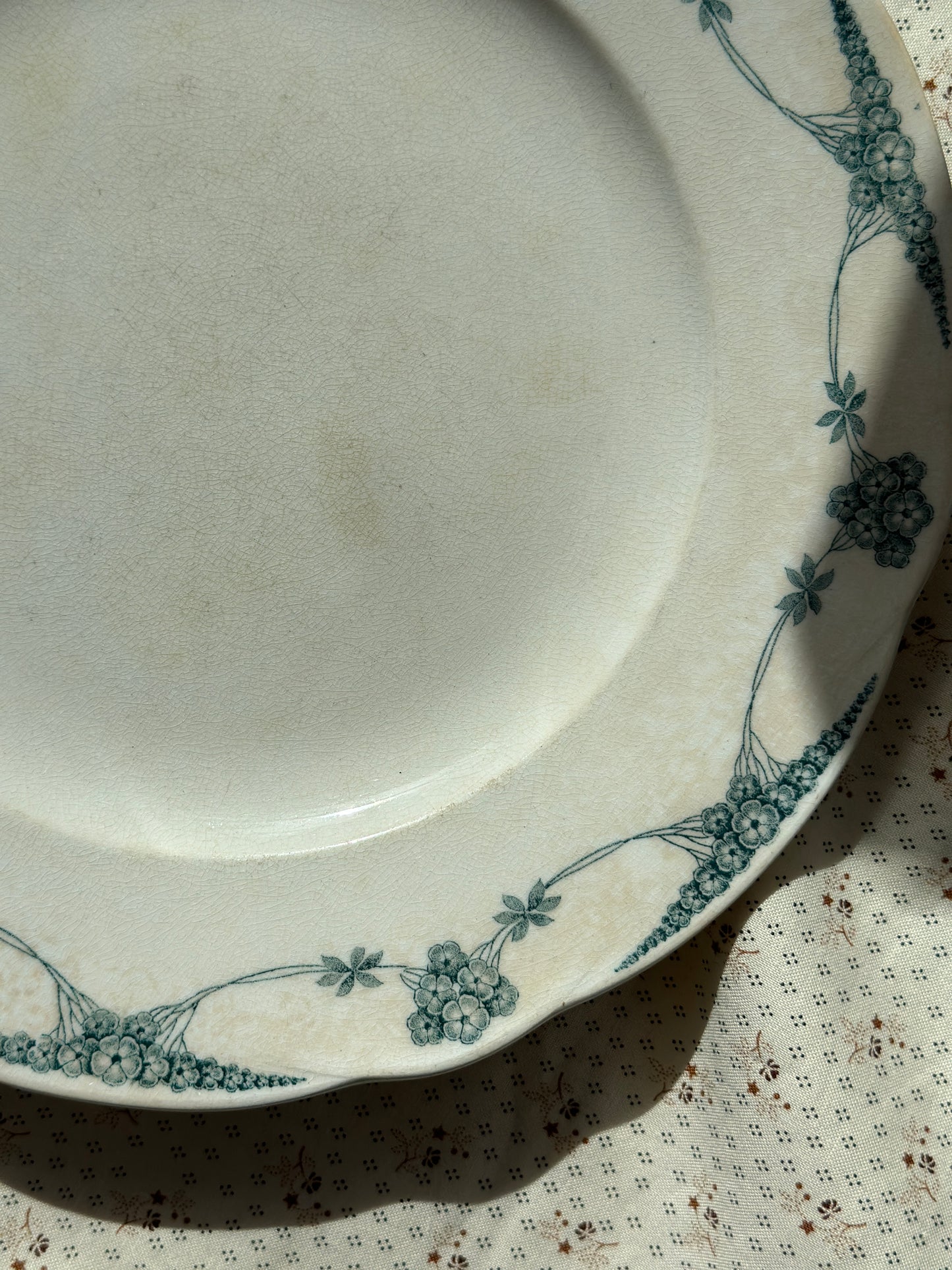 Smuk platte med grønne blomster