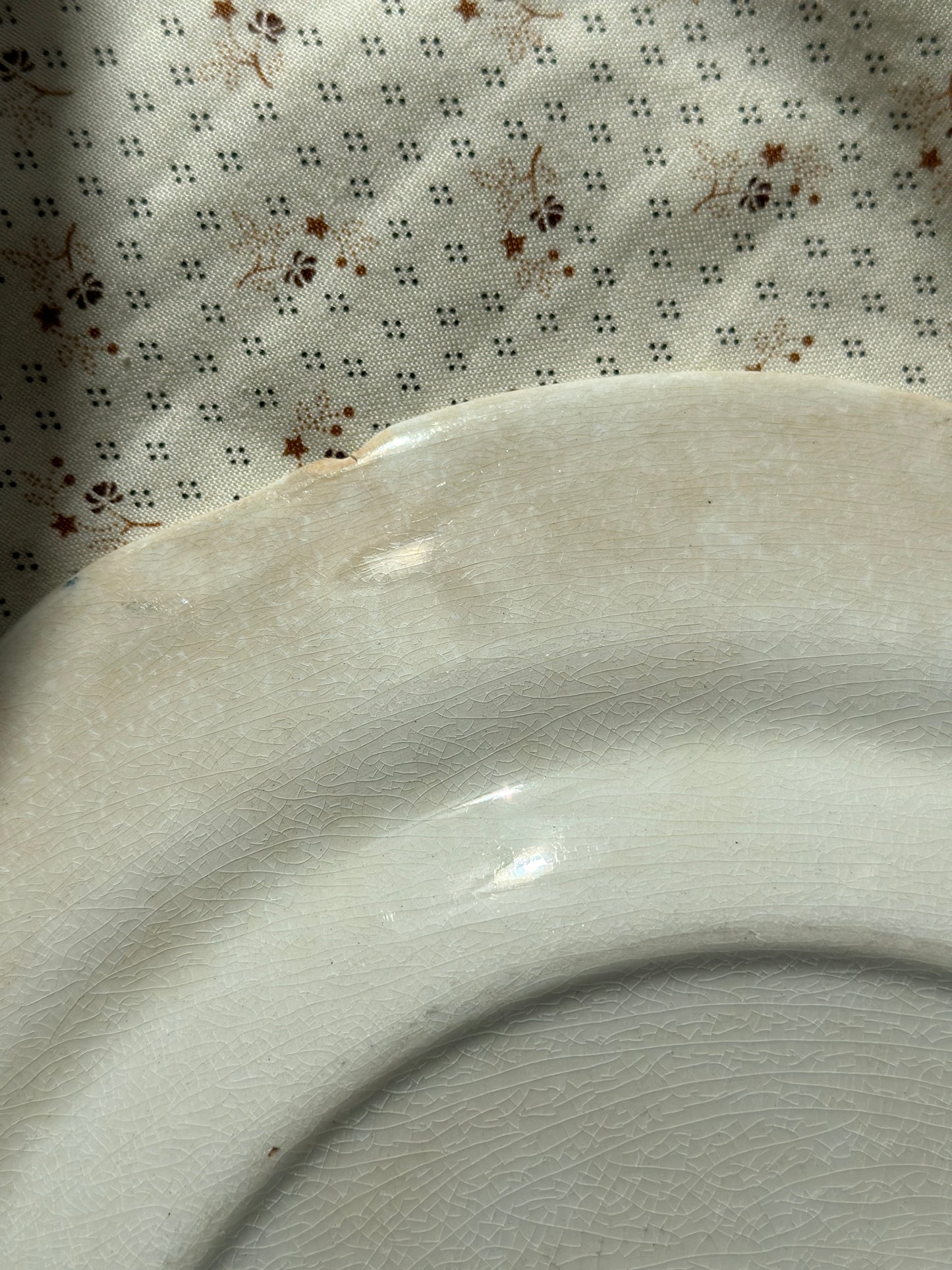 Smuk platte med grønne blomster