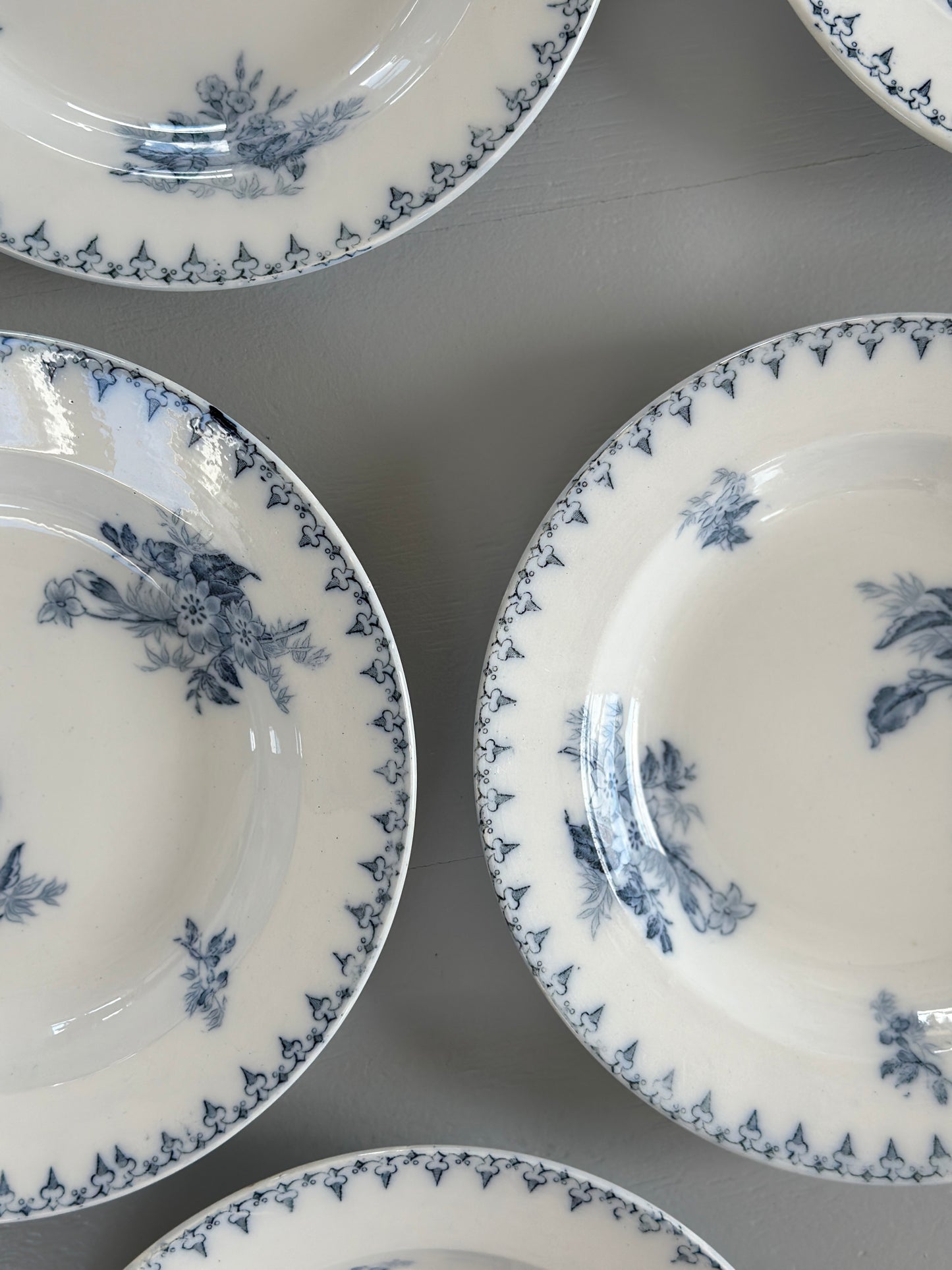 Dybe Flore tallerkner