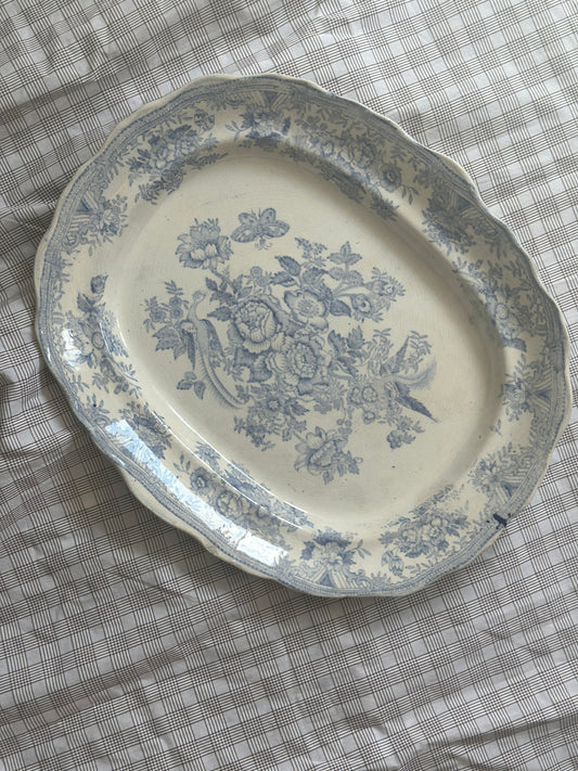 Smukkeste Blå Fasan fad