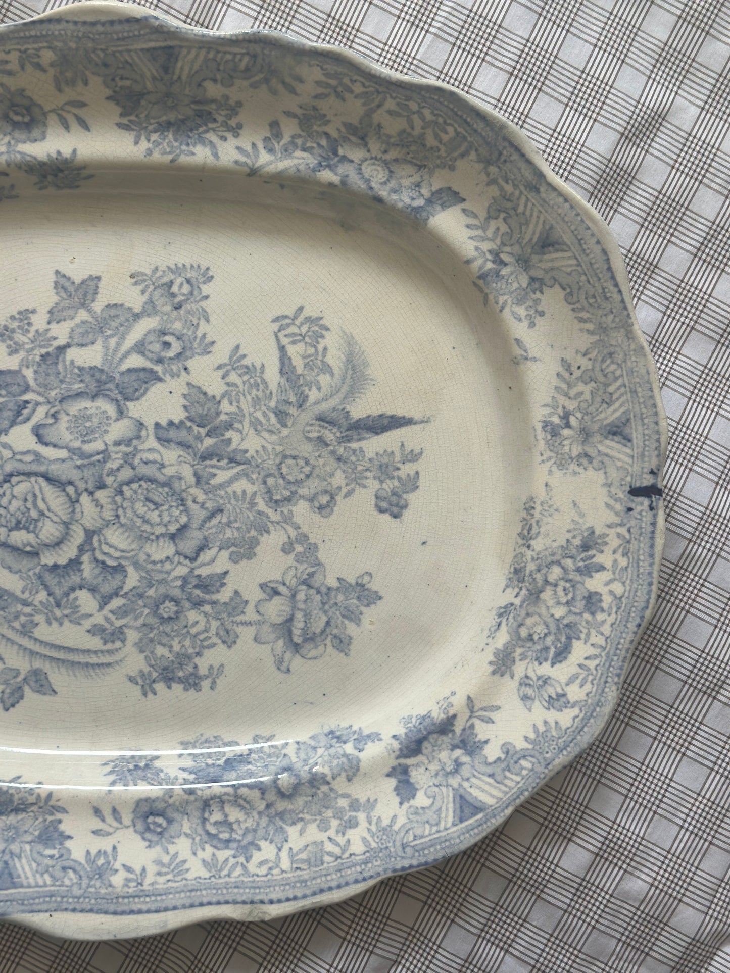 Smukkeste Blå Fasan fad