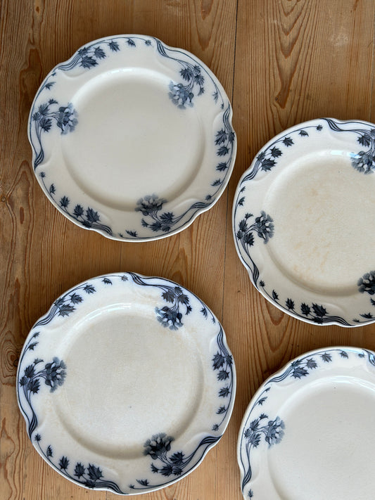 Tidsel spisetallerkner