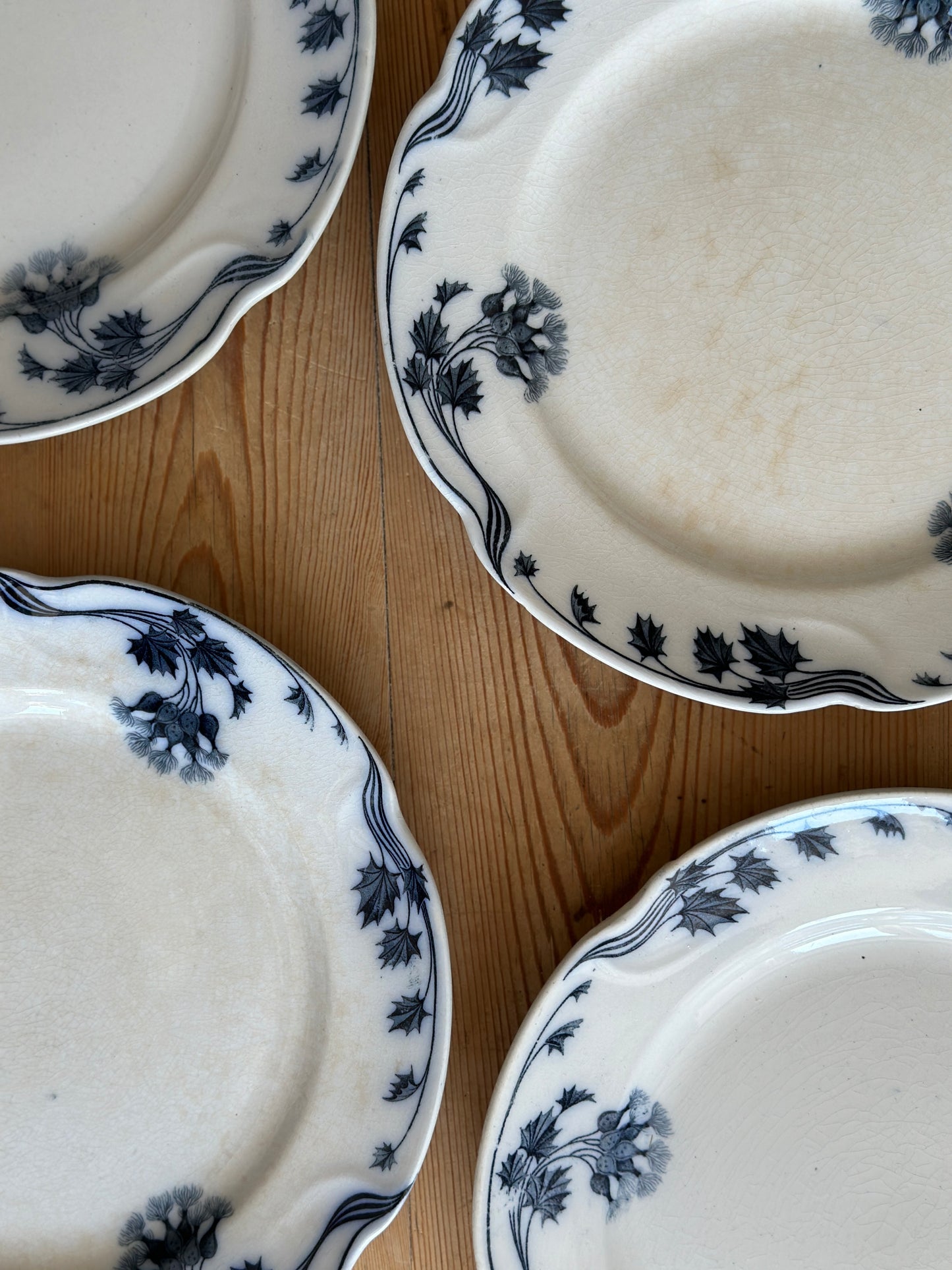 Tidsel spisetallerkner