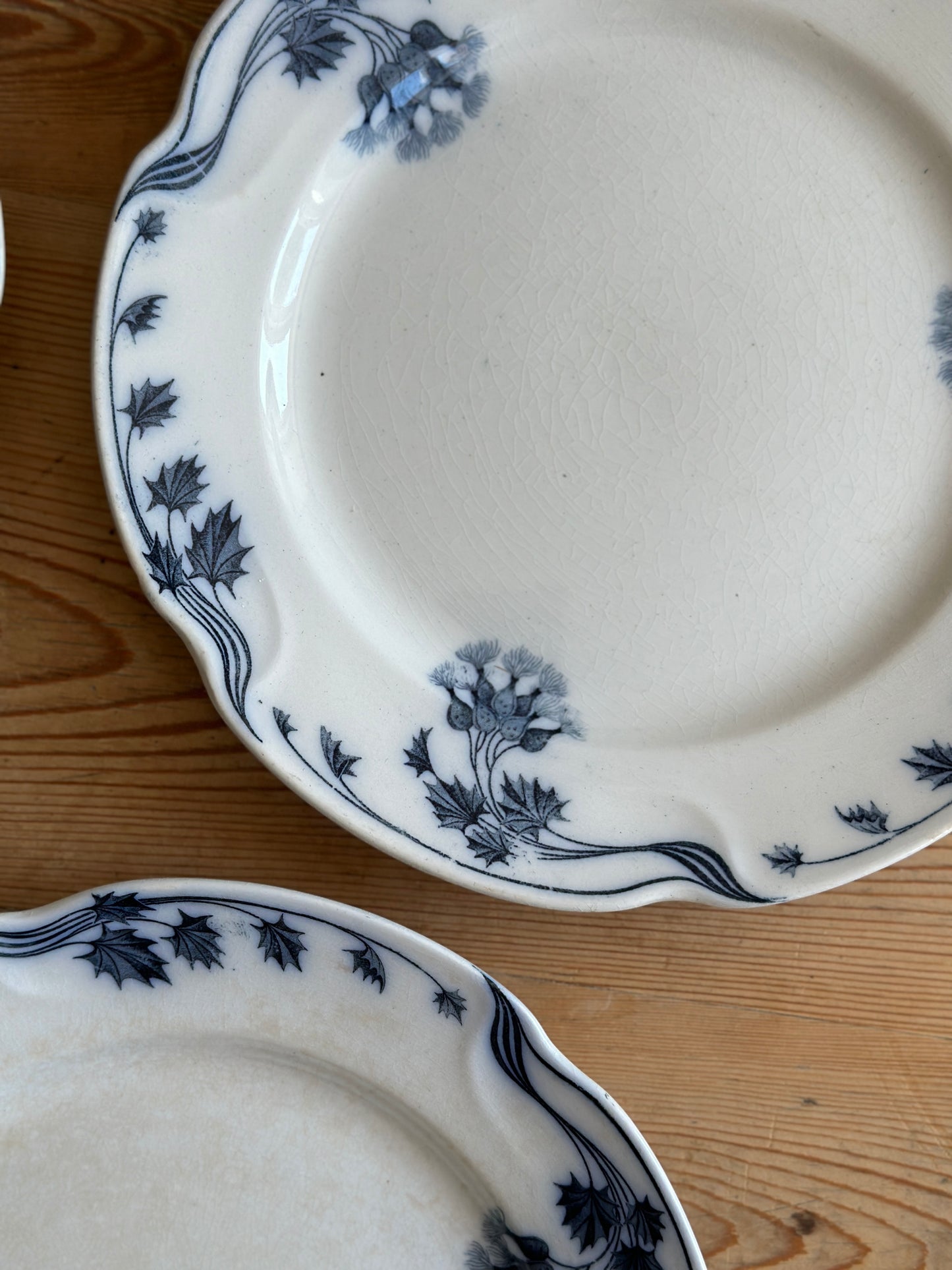 Tidsel spisetallerkner