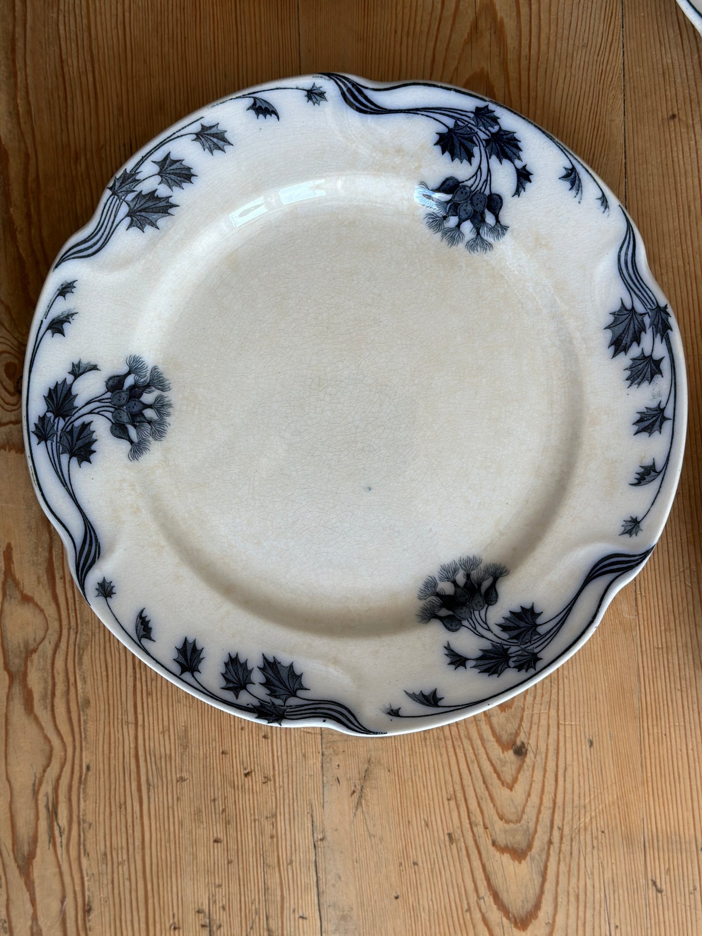 Tidsel spisetallerkner