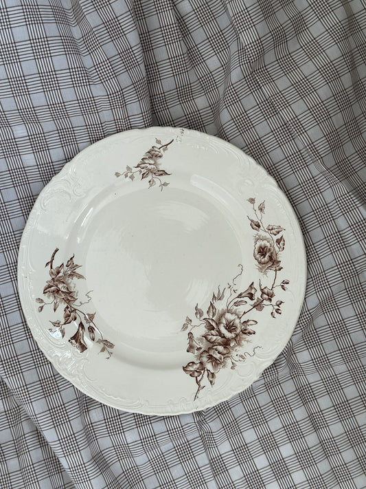 Smukkeste platte med brune blomster