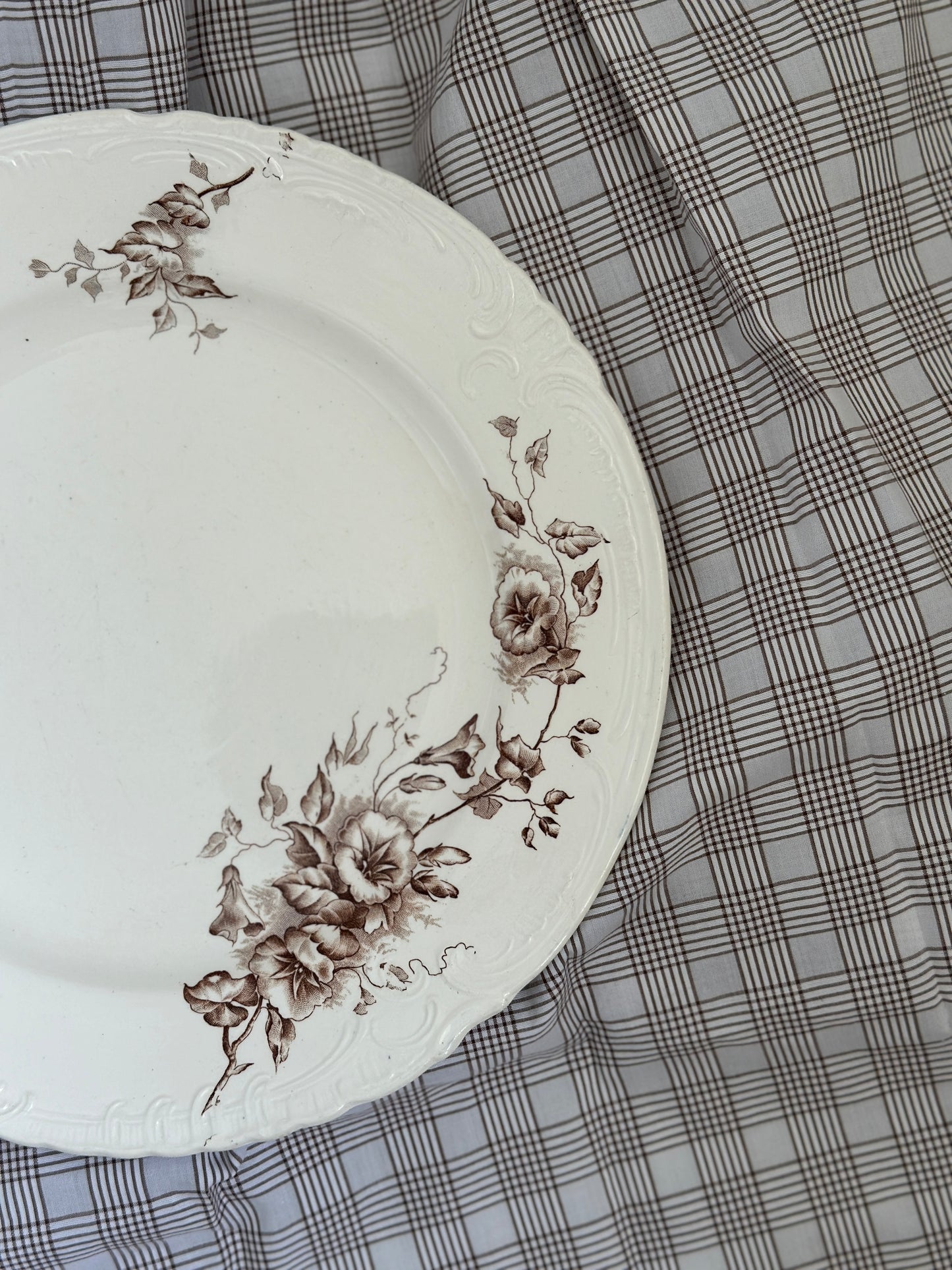 Smukkeste platte med brune blomster