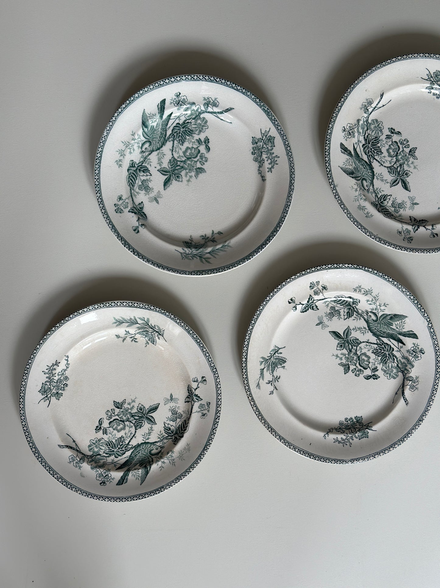 Smukkeste grønne frokosttallerkner