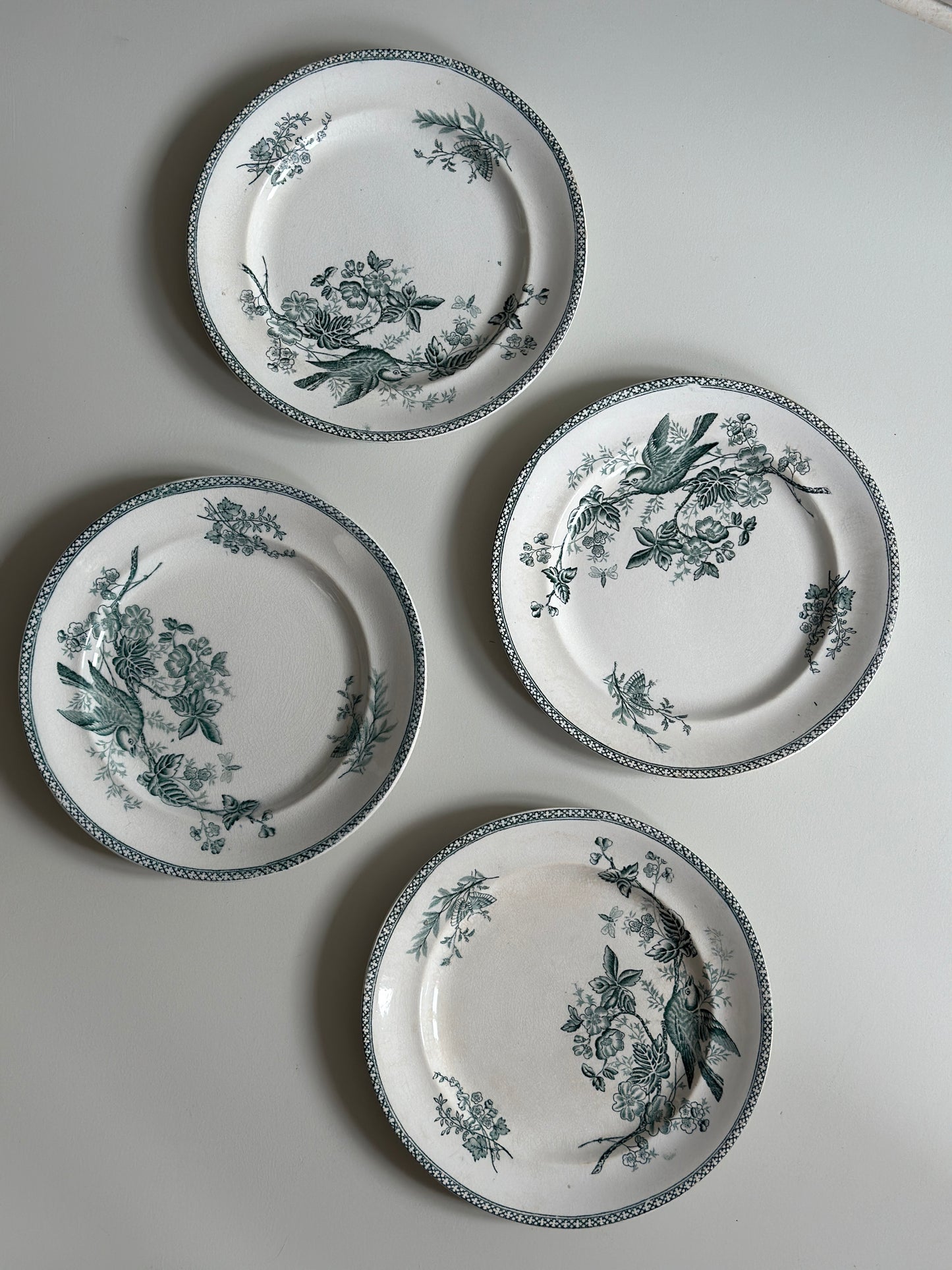 Smukkeste grønne frokosttallerkner