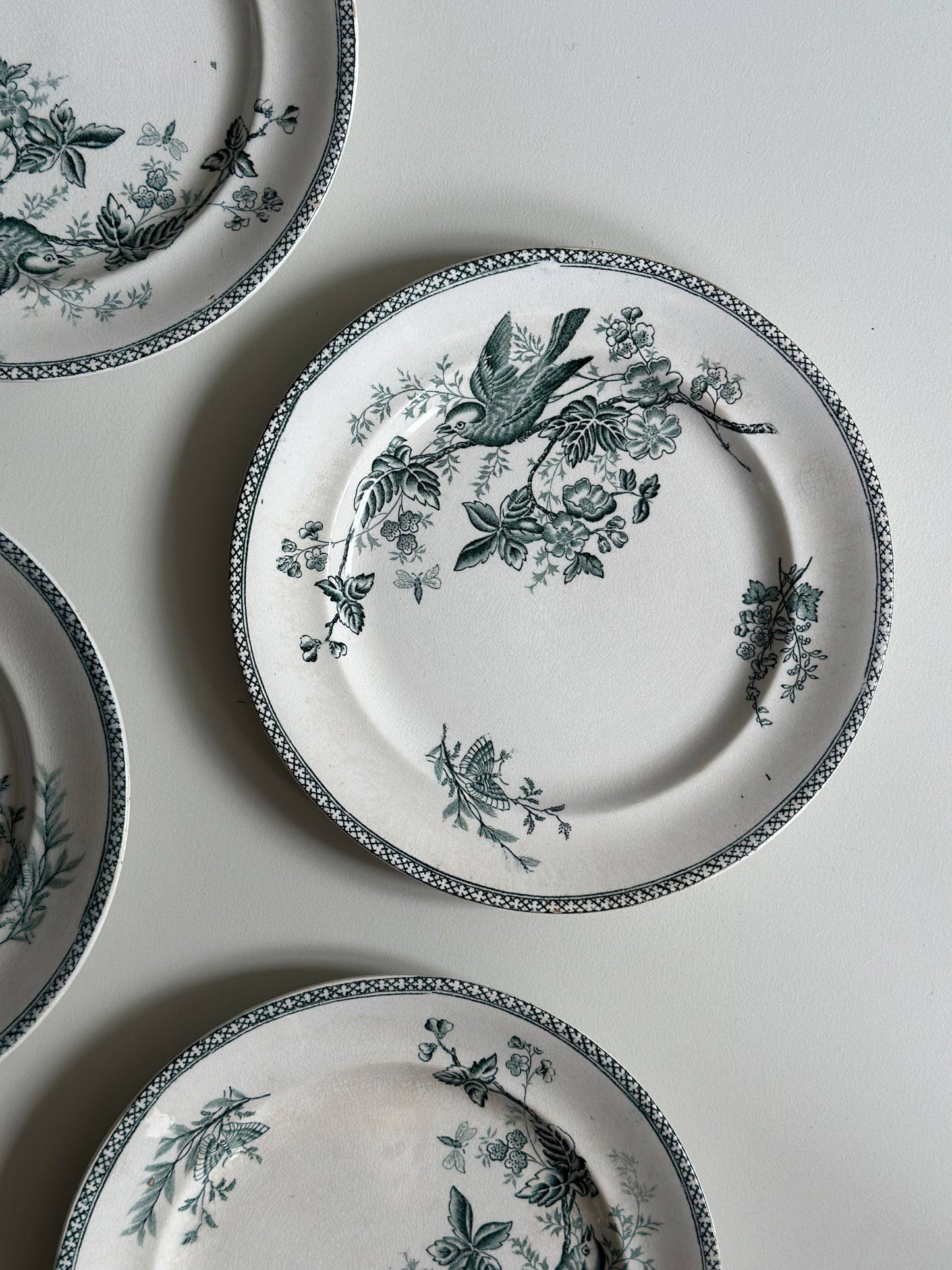 Smukkeste grønne frokosttallerkner