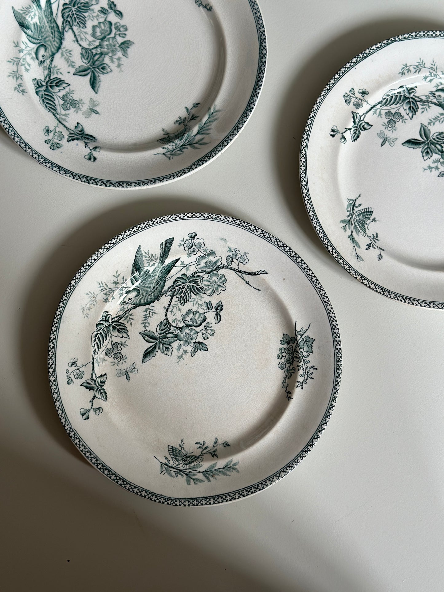 Smukkeste grønne frokosttallerkner