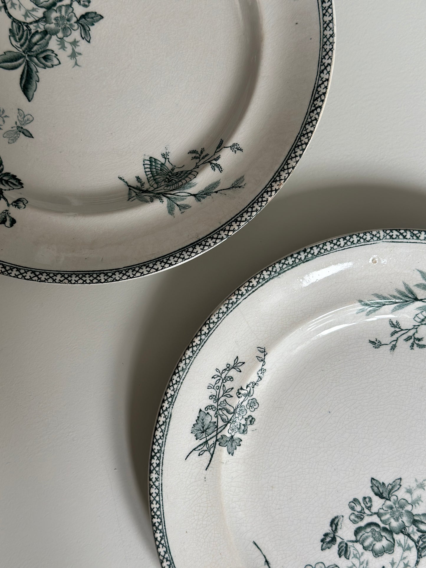 Smukkeste grønne frokosttallerkner