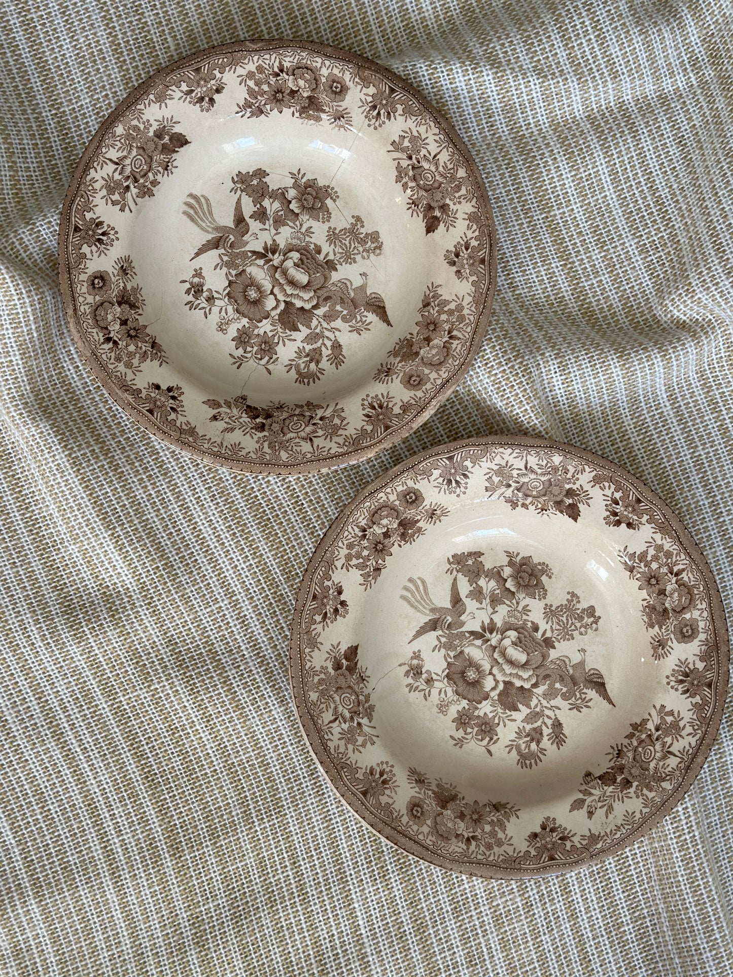 Smukkeste Brun Fasan platter