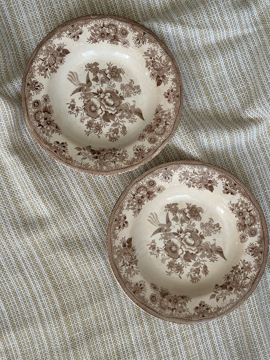 Smukkeste Brun Fasan platter