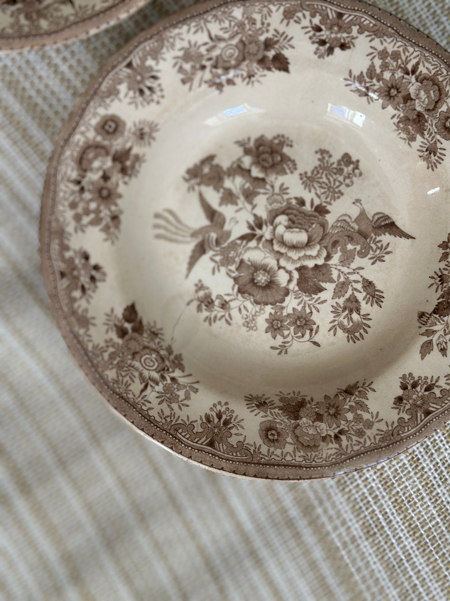 Smukkeste Brun Fasan platter