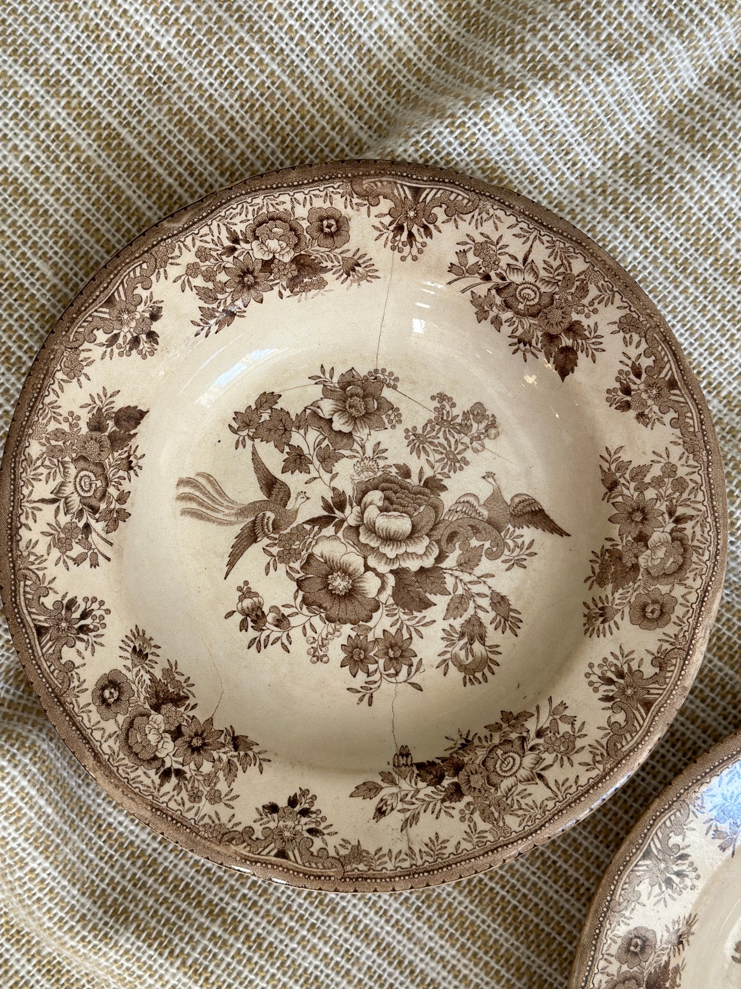 Smukkeste Brun Fasan platter